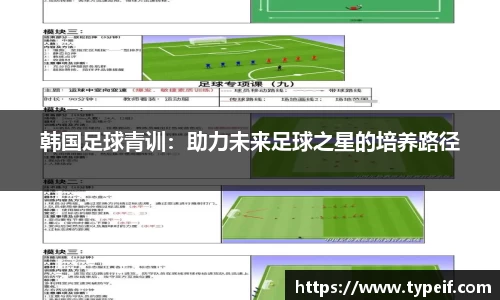 韩国足球青训：助力未来足球之星的培养路径